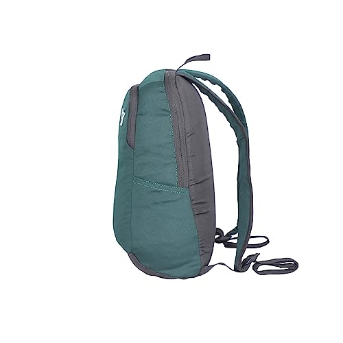 Image of Arctic Fox Pug | Mini Backpack | Small Bag 10 Ltrs| For Unisex |