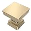 Brushed Gold