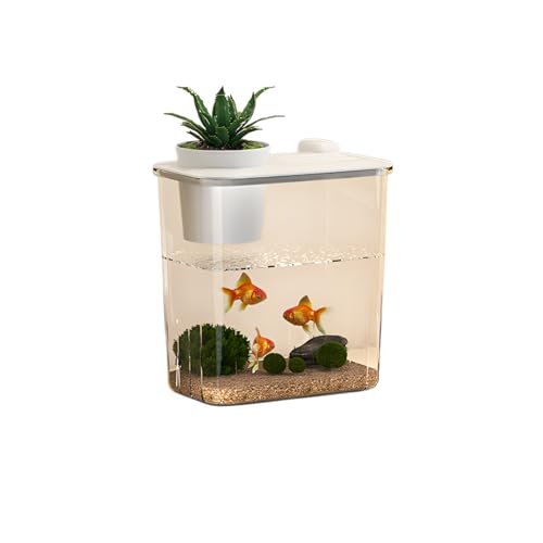 ★在庫限り【熱帯魚水槽】小型水槽セット 150×150×250 Amazon | Yjhyuxi 水槽 セット 小型 アクアリウム【インボイス