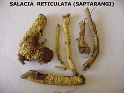 Salacia Reticulata Ekanayakam Ponkoranti Anukudu Cettu Ponkaranti 1Kg #TOP4