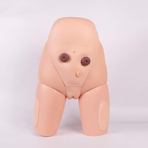Modelos de inserción de catéteres Modelos de misión de práctica médica Kit simulador de inserción de catéter uretral Masculino y Femenino Modelos de enseñanza for Estudiantes de Medicina(Female)
