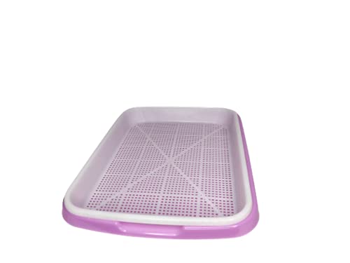 Image of Harvest House Microgreens Hydroponic Seed Sprouter Tray (Pack of 4) | Microgreen Growing Tray | Seed Germination Plastic Tray with Holes | Seed Planter for Home Office Garden Planting