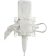 Amazon.co.jp: TOPPING Professional CL101スタジオコンデンサー