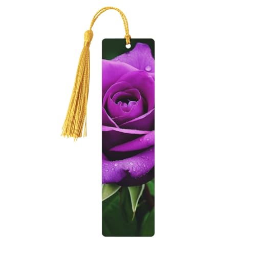 ؐ Y fB[X mxeB MO p[v [Y t[ ubN}[N {D j[NȃnhCh ubN}[N ^bZy_gt NtgubN}[NANZT[