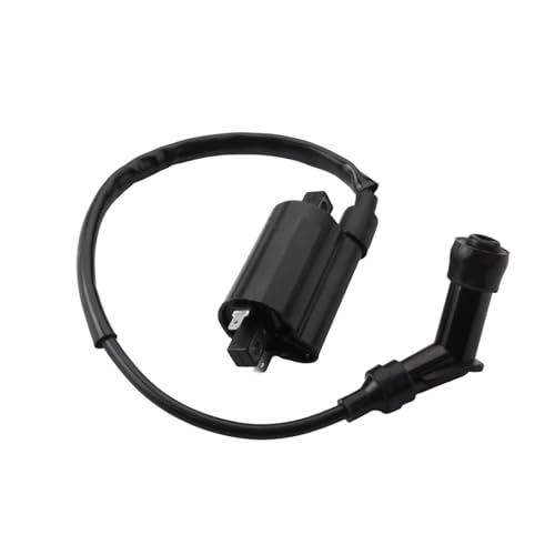 Bobina de encendido YP250 para solucionar problemas de arranque en Majesty