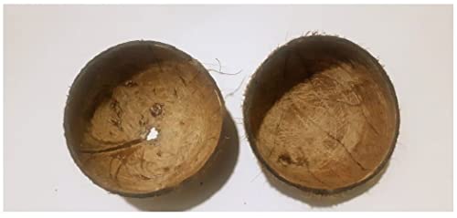 Dilsiorganics Ceylon 100% Coconut Shell Halves Natural Eco-Friendly Large Two Pieces And Small Two Pieces #TOP1