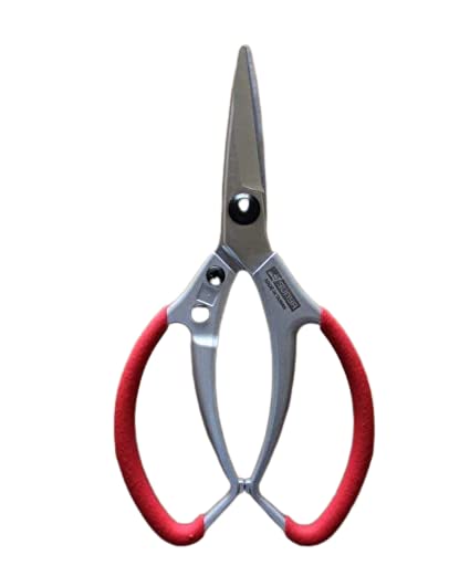 DAP - DOWNHILL AGRO PRODUCTS Sunya Bonsai Pruning Shear | Multipurpose Pruner Tool for Arranging Flowers, Trimming Plants and Grow Room (B0BW9HXNNC) Amazon Price History, Amazon Price Tracker