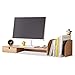Cubicolo Decor Monitor Supporto Riser Desktop Bookshelf ORGANIZZATORE CONSULTATORE CON DRAIDER STOCCAGGIO SCATOLE Scaffale Pack Scaffale per la casa per la casa e l'ufficio Decorazione del dormitorio
