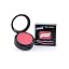 Raspberry Shimmer