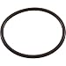 Hayward SX200Z4 O-ring Replacement for Select Hayward Filter and Valve