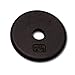 Body-Solid Standard Black Iron Weight Plate - Perfect for Strength Training, Home Gym, and Barbell Workout - Fits 1