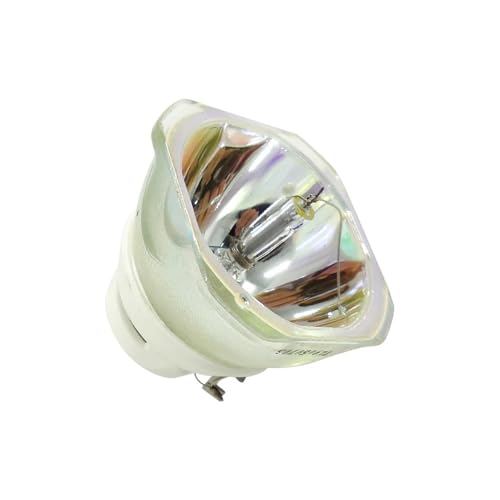 Ampoule de projecteur écran noir réparé pour PowerLite 2065 et 5520W