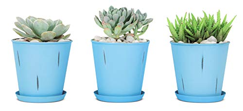 Monarch Abode 20810 Blue Stonewash Indoor Plants (Set of 3) Flower Succulent Pots Planter with Drainage Hole