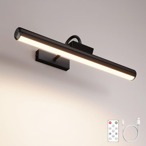 Skairipa Picture Light with Remote