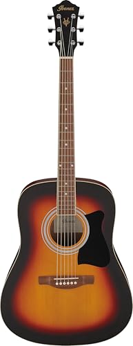 Ibanez Acoustic guitar / V50NJPOVS Standard