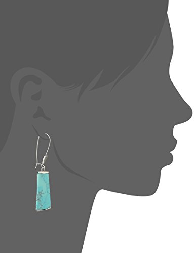 Robert Lee Morris Soho Womens Turquoise Geometric Stone Dangle Earrings, Turquoise/Silver 42