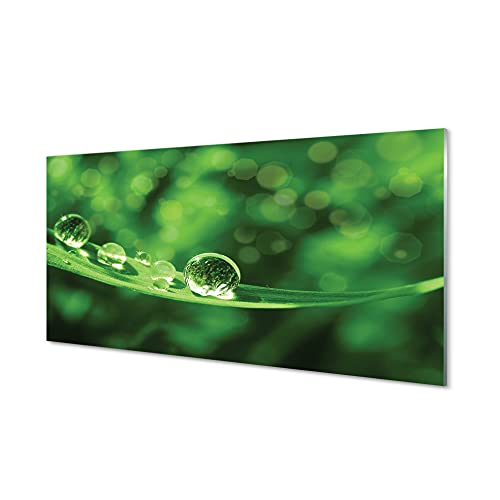 Impression sur verre 100x50 cm Tulup | Tableau mural macro de gouttes d'eau