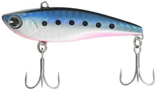 �A���Y�f�U�C��(Ima) RAIKIRI 70 (���C�L��) �}�R�C���V #RK70-006