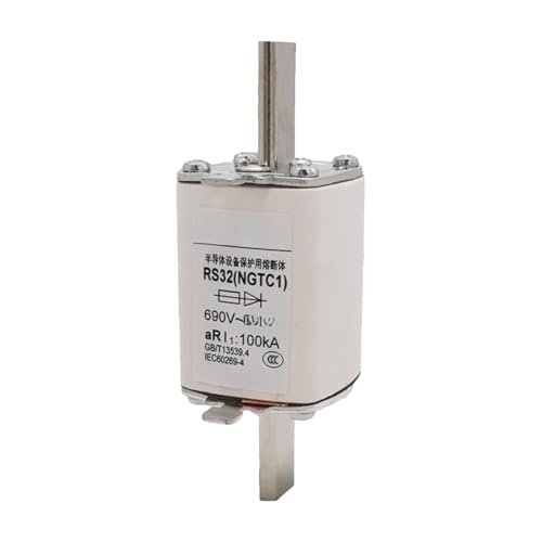 Fusible RS32NGTC1690V100KA de type RS32-100A pour la protection industrielle