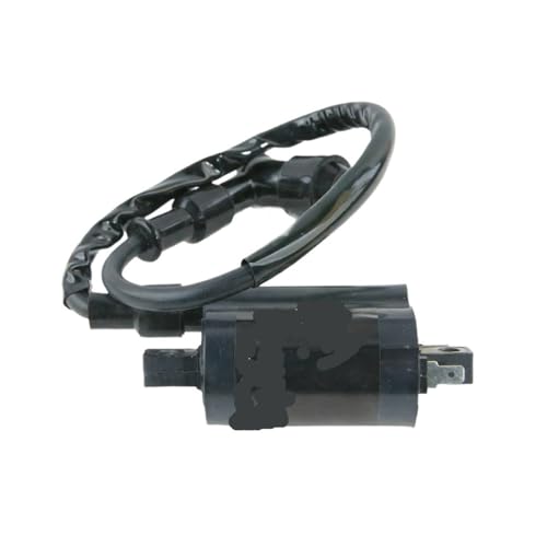 Bobina de encendido para quad y UTV: ideal para rutas y terrenos duros
