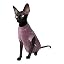 Mauve