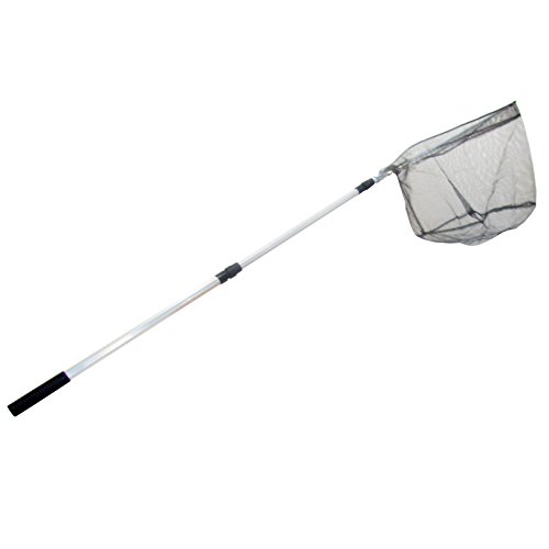 Century Martial Arts 2 m Alu Teleskopkescher Klappgelenk Angel-Kescher Unterfangkescher Teichkescher