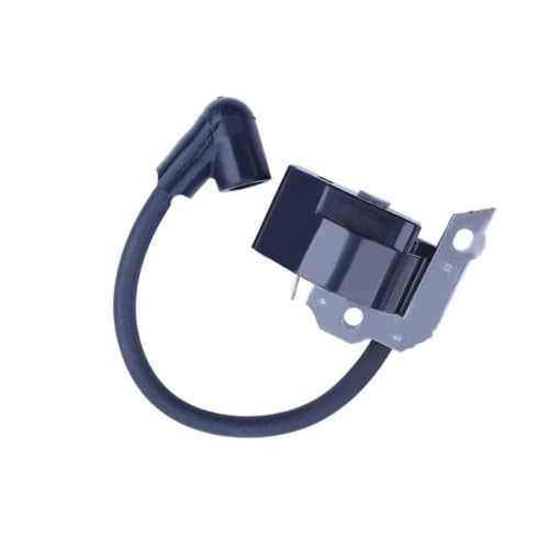 Module de bobine d'allumage OEM 36036143121 pour Ps2 Ps3