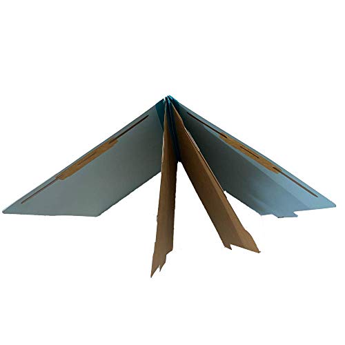 The File King Pressboard Classification Pale Blue Partition File Folder | Legal Size - Box Of 10 | Two Dividers | Six 2” Durable Fastener Prongs | 2/5 Cut Top Tab | 2” Expansion #TOP4