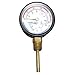 AllPoints 62-1004 Pressure & Temperature Gauge, 1/2" NPT, 3-1/4" dial, 70 - 210?F, 0 - 200-62-1004