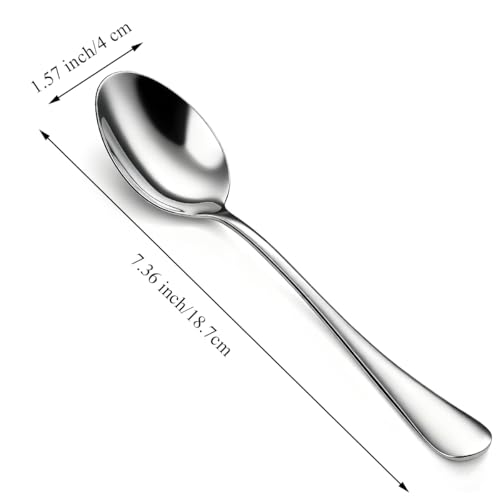 Berglander Dinner Spoons Set 24pcs, 18.7cm Food Grade Stainless Steel Silverware Soup Spoon Tablespoon for Home, Kitchen or Restaurant Mirror Polished, Dishwasher Safe - Image 3