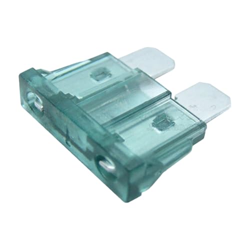 Fusible de voiture moyen 1A transparent avec fiches en zinc pour une conductivité stable