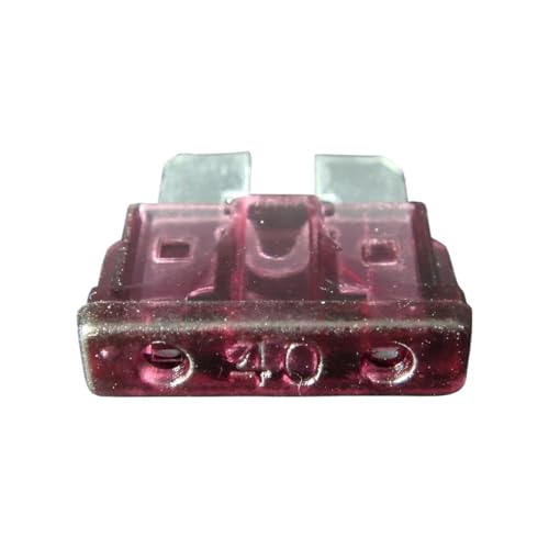 Fusible de lame de voiture 2A à haute conductivité pour sécuriser les circuits 32V