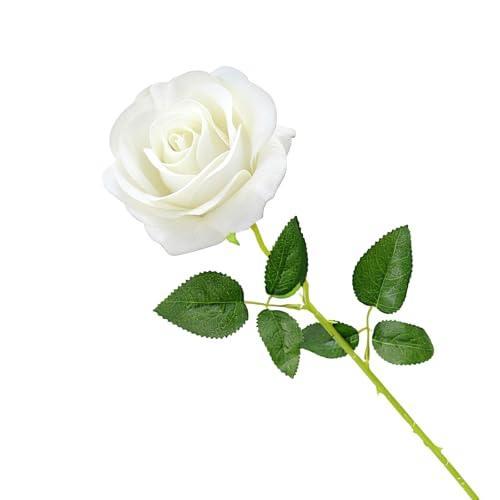 Cosswe Rose Éternelle, Fleur Artificielle en Soie Élégante - Cadeau Romantique pour Saint Valentin, Fête des Mères, Noël, Anniversaire - Décorative pour Salon, Mariage, Cérémonie (Blanc)