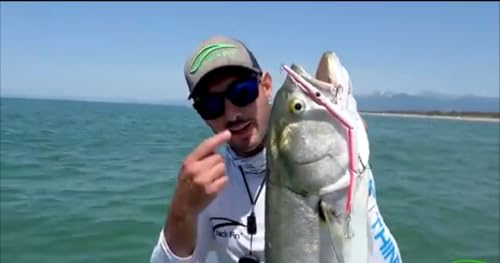 Le Jointed 255 vert Jack Fin Marlin Blue idéal pour vos sorties de pêche en mer - 6