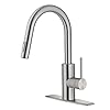 Kraus Oletto Spot Free Stainless Steel Dual Function Kitchen Faucets with Pull Down Sprayer, KPF-2620SFS