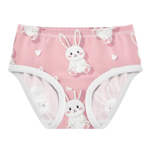 Fun Toddler Underwear Floral 2t Cotton Cute Panties Girl Cute Bunnies White Rabbits Pink Briefs Underpants