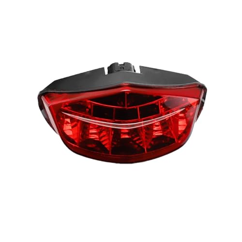 Feu arrière LED DUCATI Monster 796 696 clignotants haute visibilité