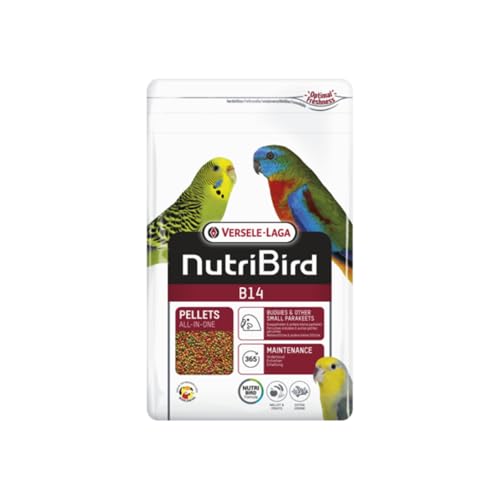 ✅ OPTI DIGEST - Con minerali naturali e prebiotici, questo alimento potrebbe supportare la flora intestinale e promuovere una digestione sana.