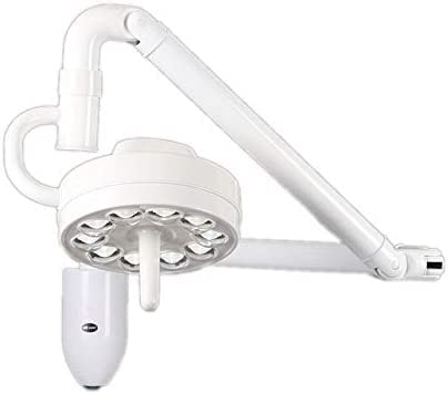 Medizinische Untersuchungsleuchten Professionelle Zahnärztliche OP-Leuchte, 30 W, Wandmontierte LED-Munduntersuchungsleuchte, Schattenlose Lampe, Kaltes Licht, For Tierkliniken, Labore, Kliniken.