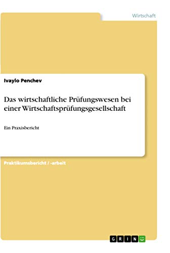 Das wirtschaftliche Prüfungswesen bei einer Wirtschaftsprüfungsgesellschaft: Ein Praxisbericht (German Edition)