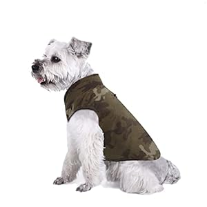 YAODHAOD Hundevlies Weste Premium Hundekleidung für kleine Hunde Junge oder Mädchen – Pullover Hundejacke mit Leinenring Mittelgroßer Hund Katze Hund Pullover Dackel Chihuahua French Bulldog Mops(XL)