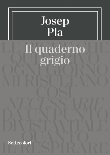  Il quaderno grigio