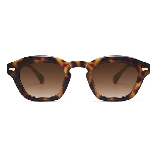 Small Retro Square Sunglasses for Women Mens Rectangle Sunnies AP3680