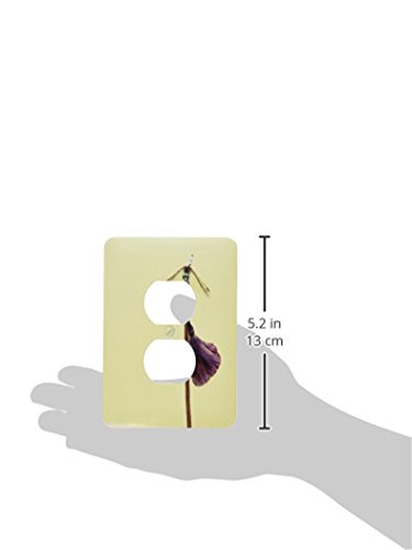 Finitions murales Libellule lsp_13904_6 3dRose pour double prise