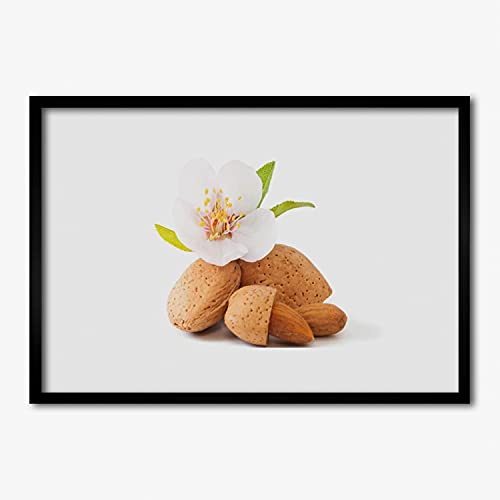 Cadre en MDF avec affiche nature fleur pistache pour salon et chambre 70x50 cm