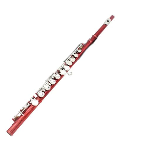 t[g Sҗpt[gZbg jbPbL 16 C ߉\ I[v zP[Xt(Red)