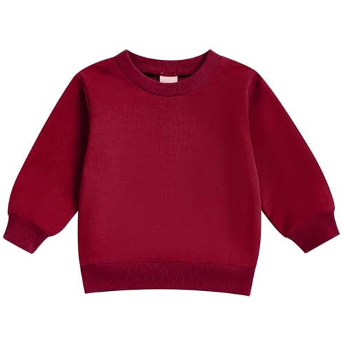 Mubineo Toddler Baby Boy Clothes Girl Basic Plain Sweatshirt Long Sleeve Shirts Kids Fall Winter Sweat Shirt Tops