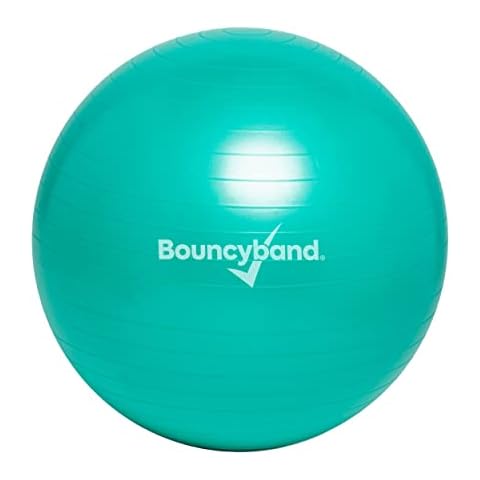 Bouncyband Large Balance Ball for Flexible Seating Cover