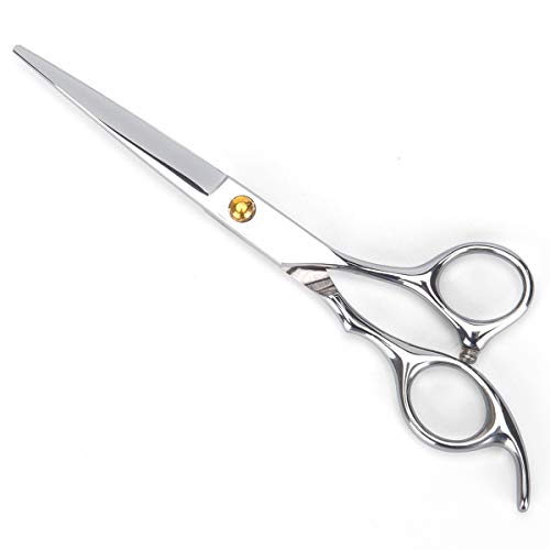 Professional Hair Cutting Scissors - 6.5
