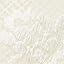 Ivory | Powder White